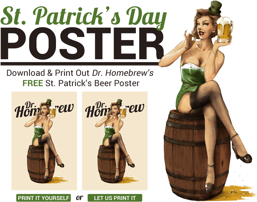 Dr. Homebrew pin-up girl beer poster giveaway