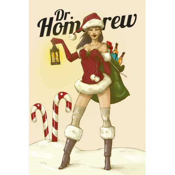 Girl Santa Merry Christmas Sexy Dr. Homebrew Beer Girl Poster